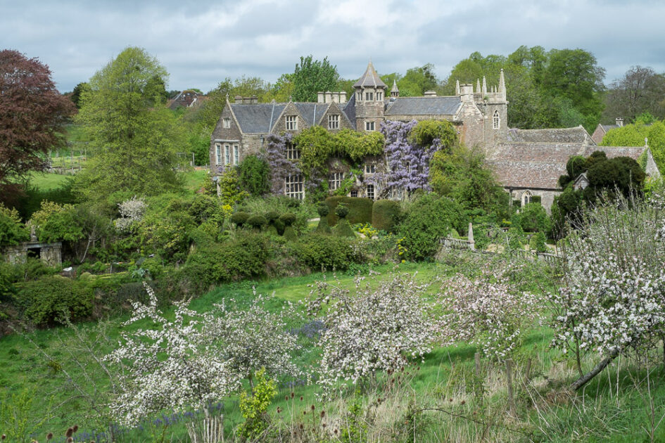 camerton court gardens somerset