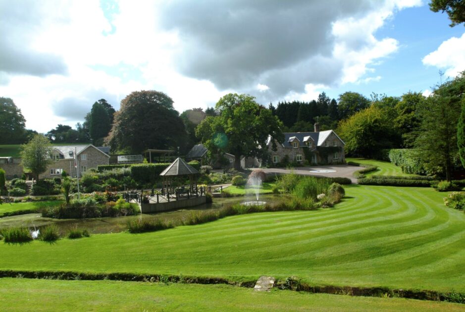 House and garden