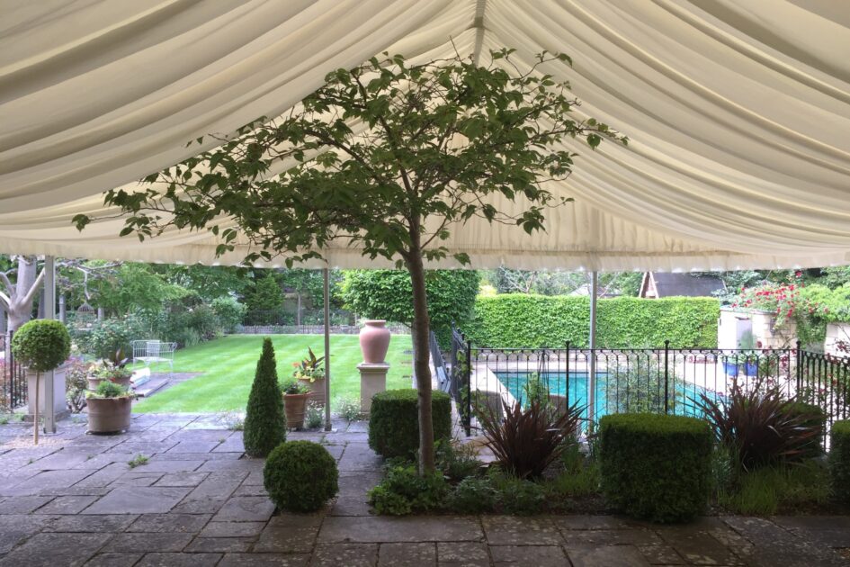 Frame marquee over tree