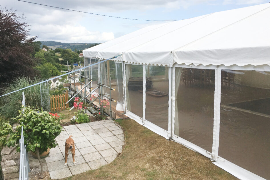 Dog Stood Outside The Marquee - Seaton Beach