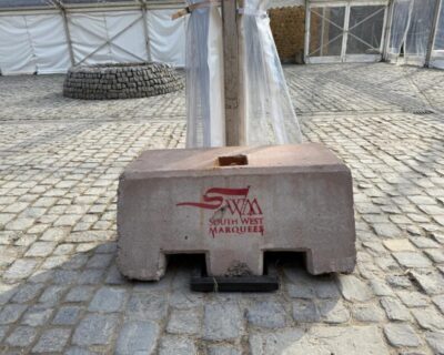 newt concrete 5