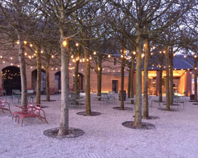 festoon lights for seating area